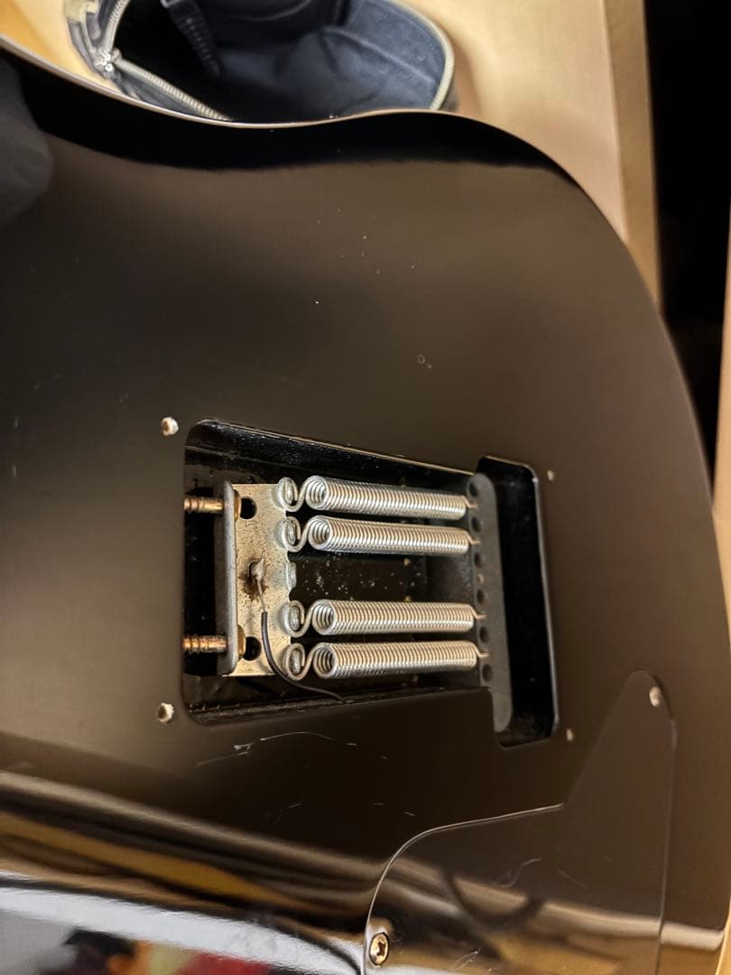 ギター PRS SE CUSTOM24