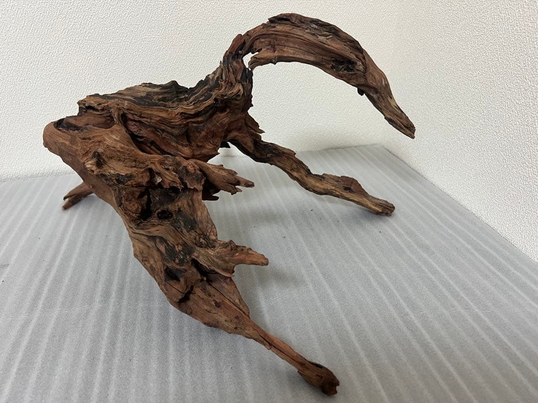 HX-079 流木　ホーンウッド　マシンガンウッド　アクアリウム　ブランチウッド