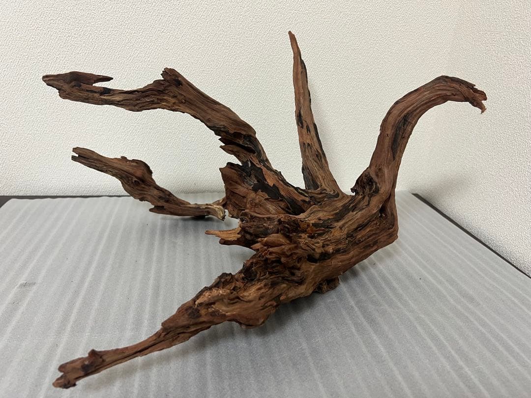 HX-079 流木　ホーンウッド　マシンガンウッド　アクアリウム　ブランチウッド