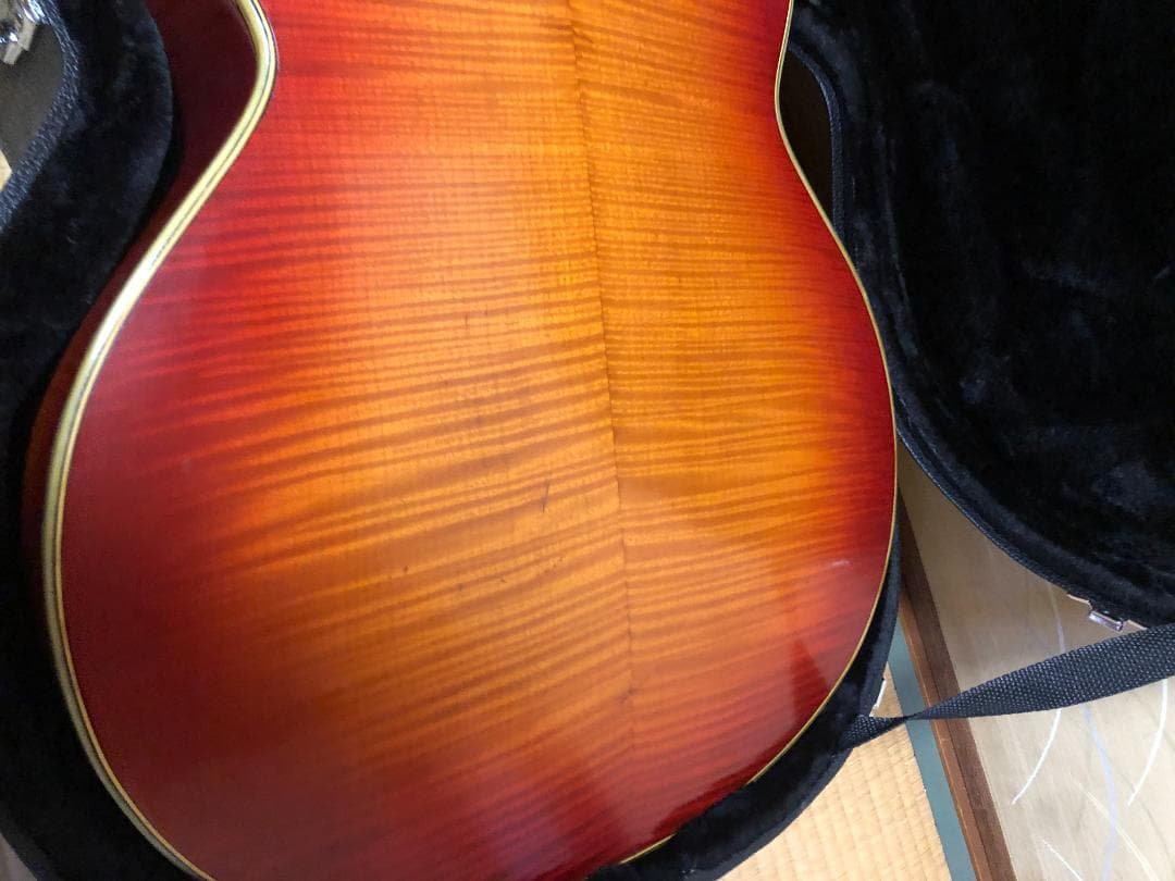 激レア 希少 カールヘフナー　496　アコギ ヴィンテージ