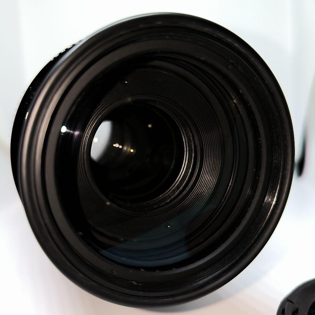 遠くの風景も人物もOK✨Canon EF 100-300 超望遠レンズ キヤノン