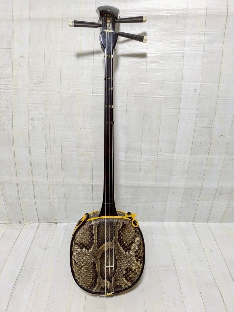 三線　胴 蛇皮（裏側破れ）【ケース付き】 訳あり