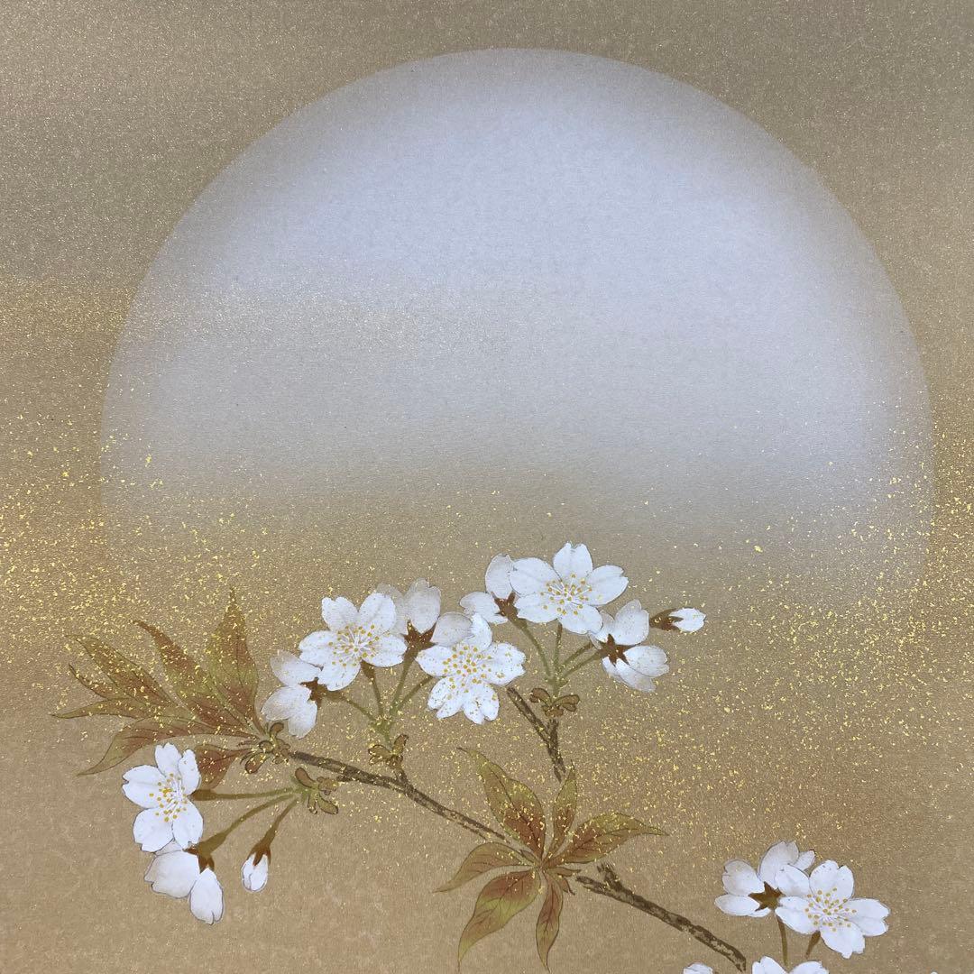 美品 掛け軸 柳沢寿江作 金地 春宵図 桜 共箱 太巻き 縁起物