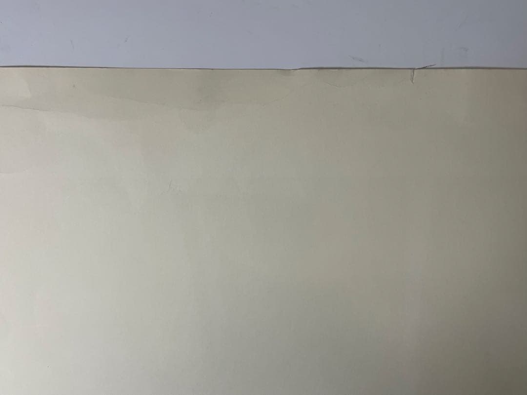 オルガ・グレチナMelancholyR211/250 シルク版画 61×91cm