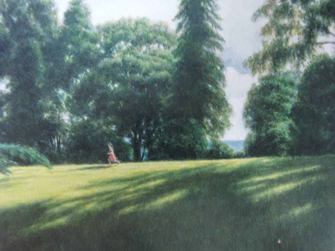 山本貞、【丘の光景】、希少な額装用画集より、新品額装付