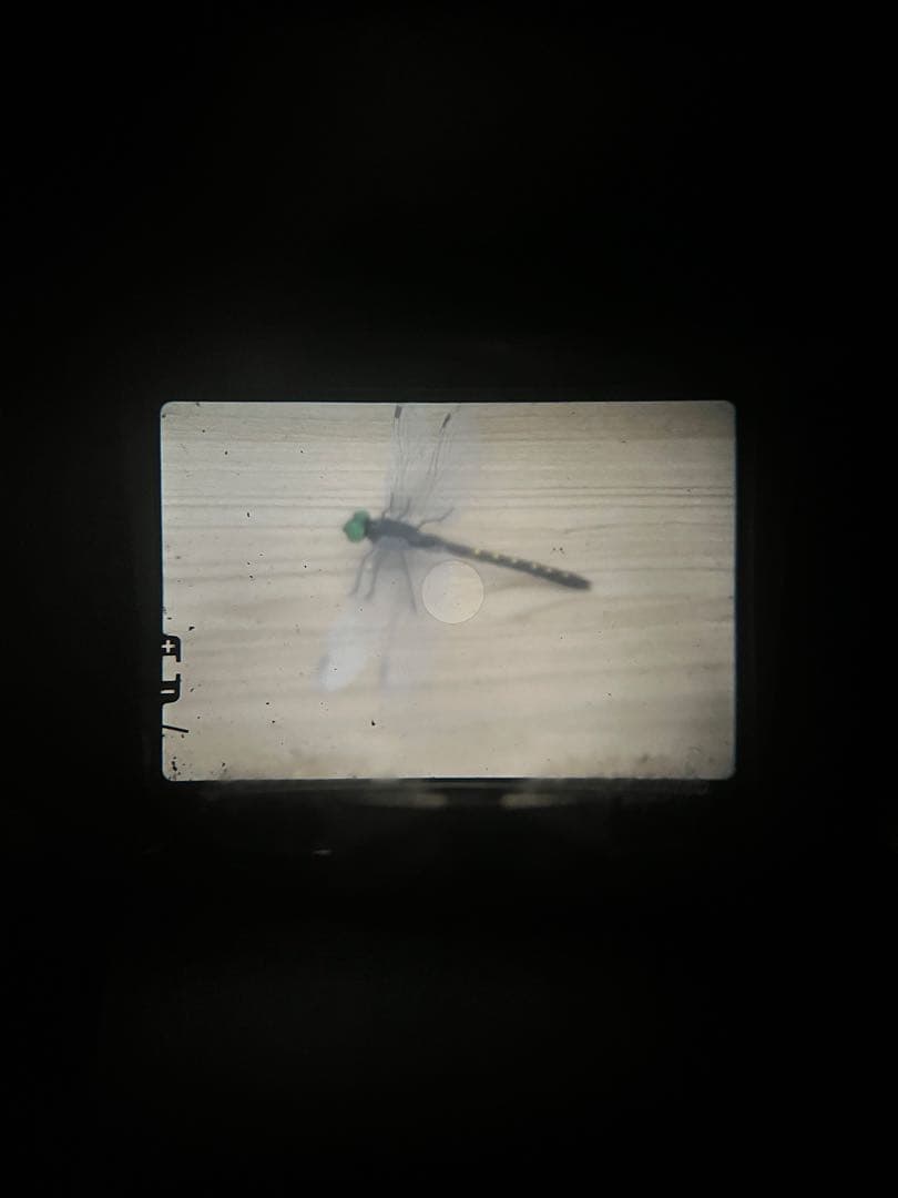 OLYMPUS OM-1一眼レフ　AUTO-S 50mmf1.4レンズ付き