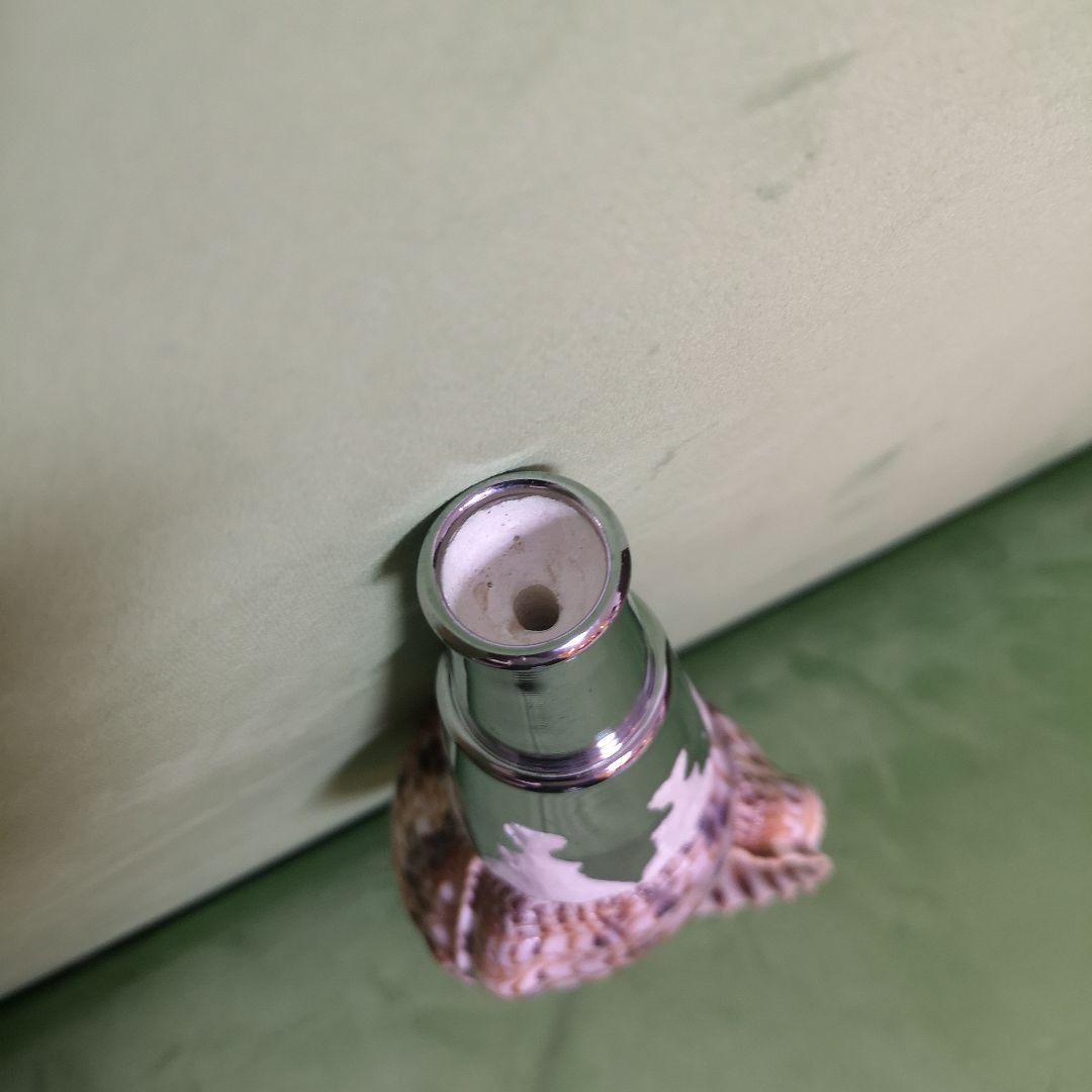 法螺貝　ホラ貝　クリスマス　プレゼント