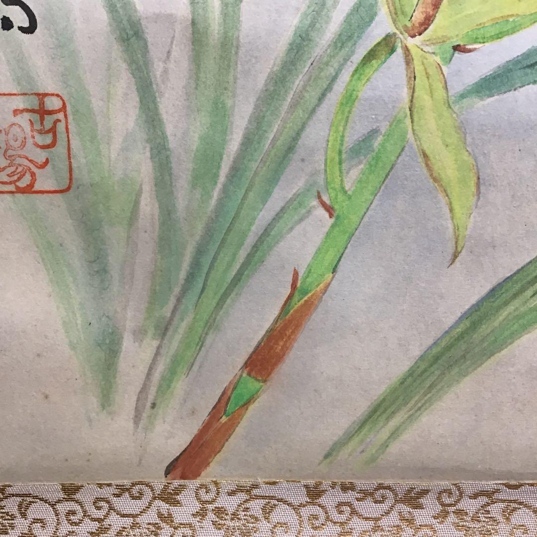 K茶道具　掛軸　「洋蘭の図」　古楊作　共箱　S1007KJ