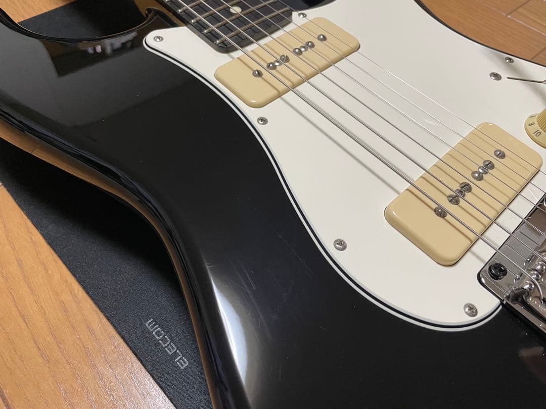 fujigen（FGN） SNST101-BK 【限定生産品】