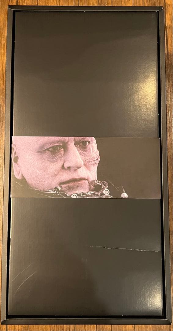 ホットトイズ 1/4 ダース・ベイダー