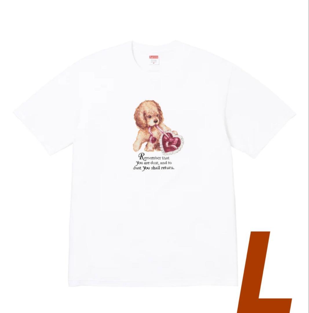 トップス Supreme Dust Tee \