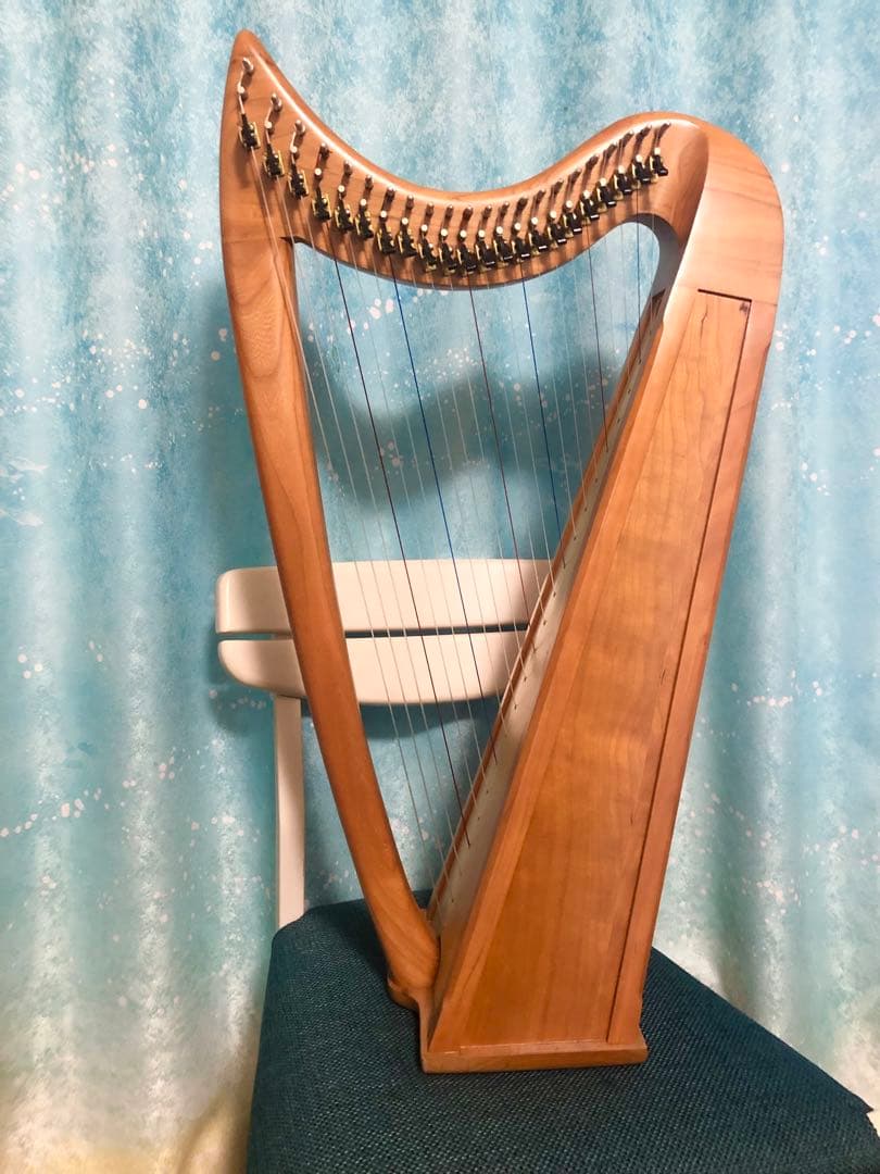 はなちゃん　Stoney End Eve イヴ　ハープ アイリッシュハープ