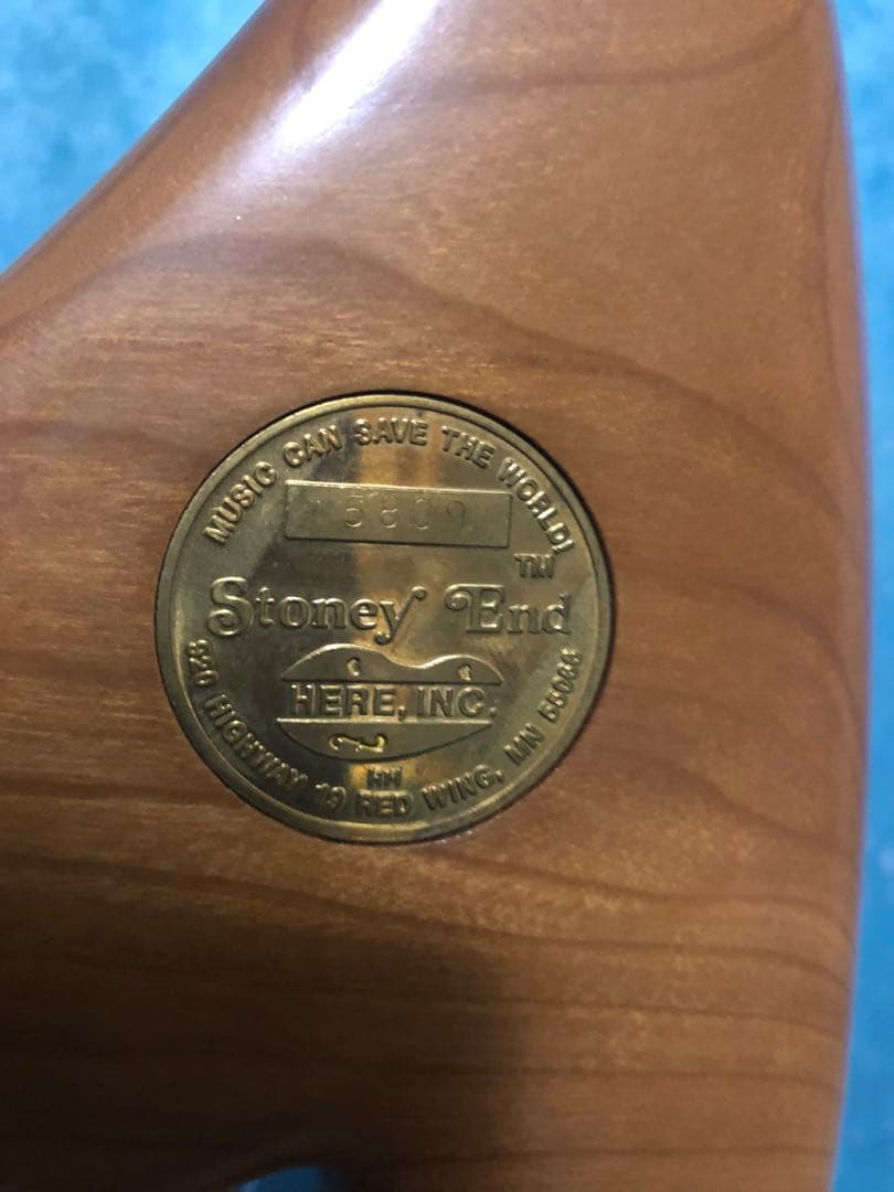 はなちゃん　Stoney End Eve イヴ　ハープ アイリッシュハープ