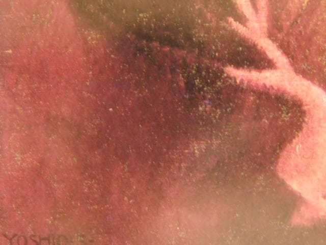 岸田劉生、京都祇園舞妓之像、希少な画集より、新品高級額・額装付