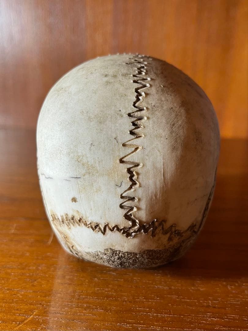 髑髏　骸骨　スカル　野晒し　陶器　昭和　骨董　アンティーク　ビンテージ　中