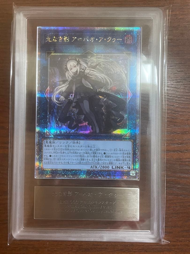 【極美品】光なき影　ア=バオ・ア・クゥー　25th　ARS10