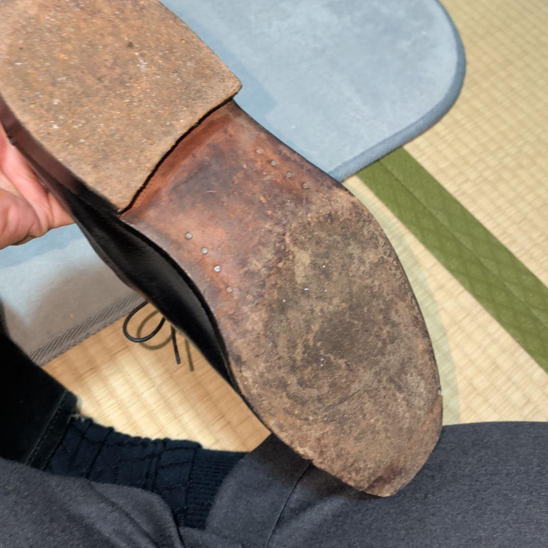 アリストクリティコ別注 シルバノラッタンジ 25.5cm