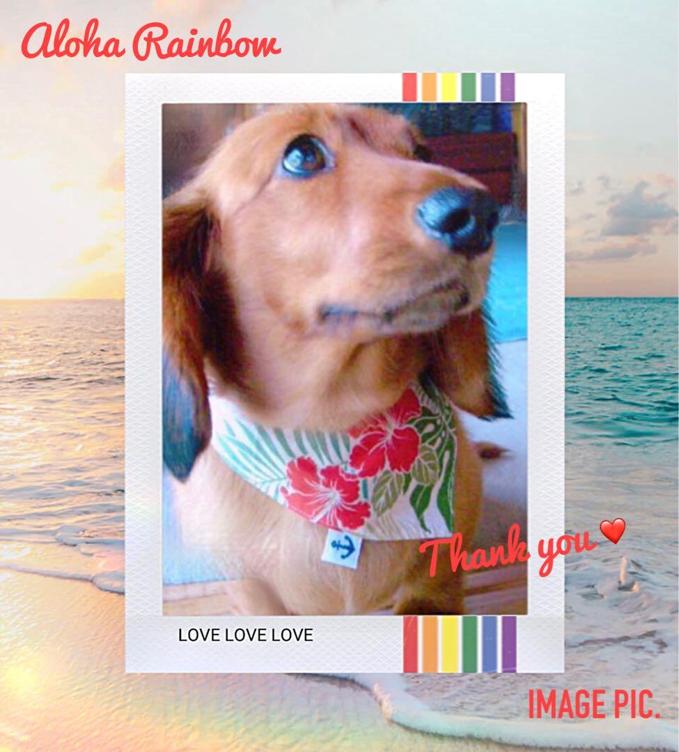 No.3026☘️ 犬猫用 リバーシブルバンダナ XSサイズ ハワイアン ベージュ