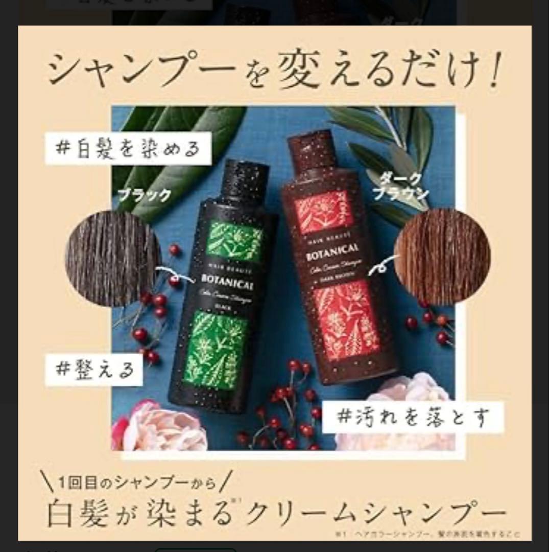 アーちゃん　ブラウン４本です