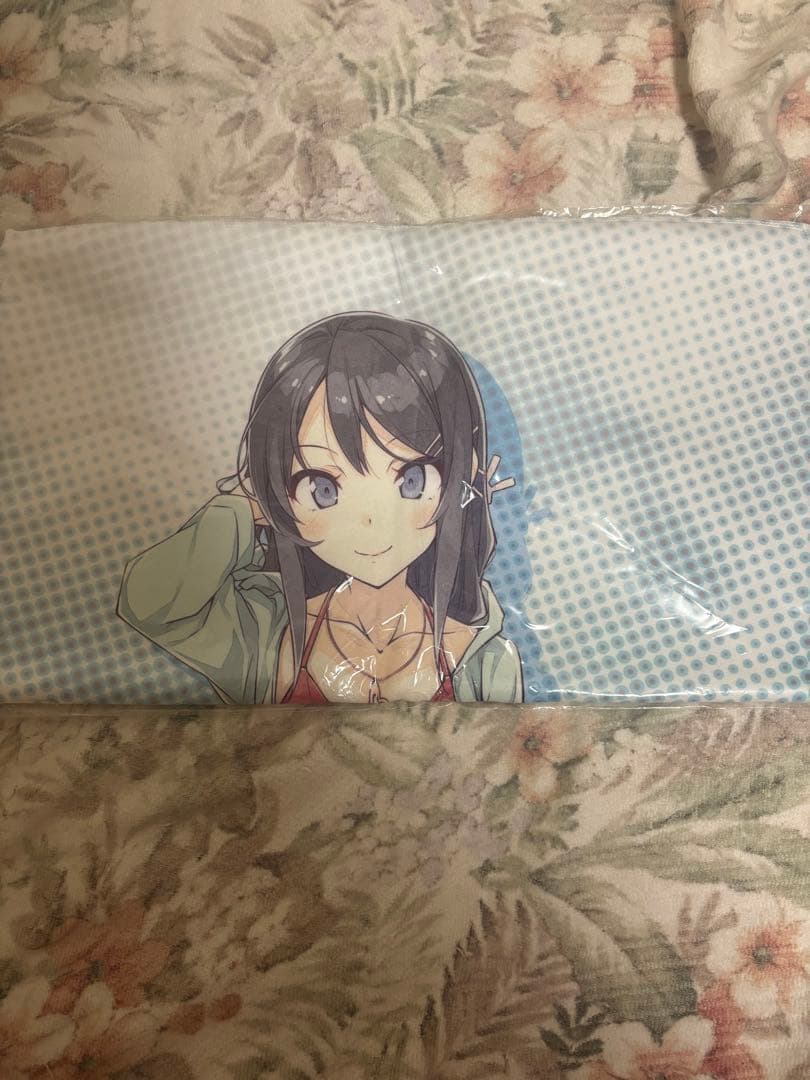 青春ブタ野郎はバニーガール先輩の夢を見ない 桜島麻衣