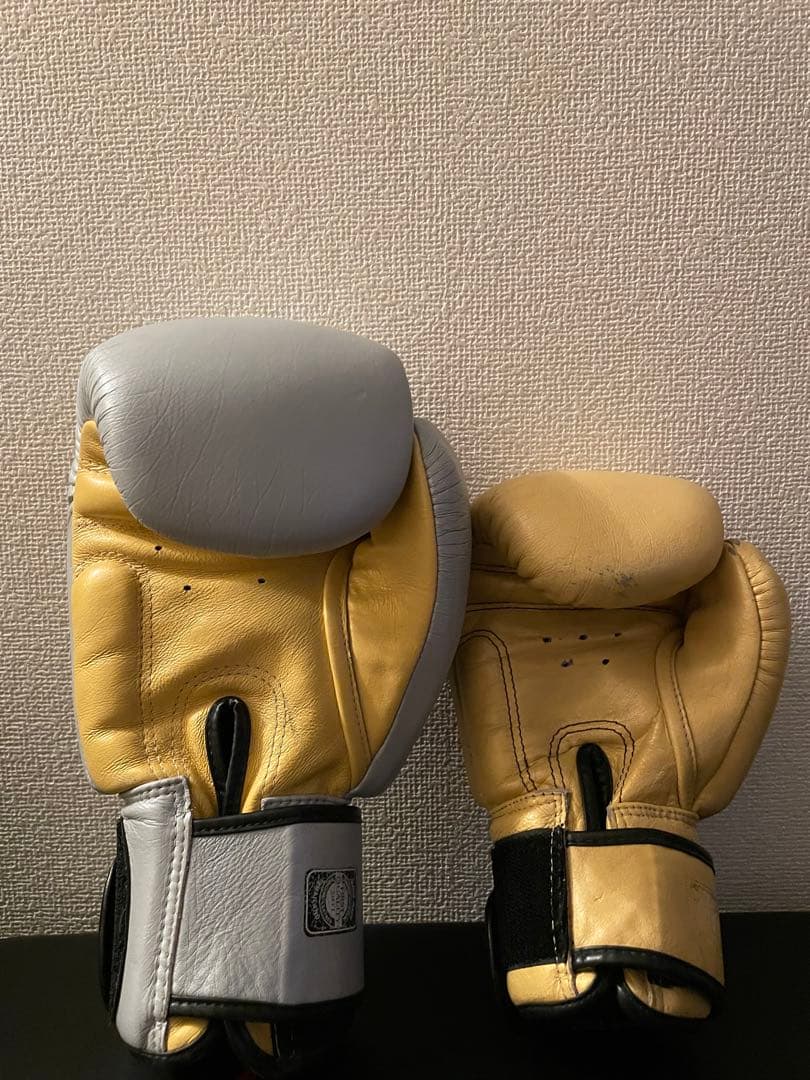TWINS ボクシンググローブ 8oz 16oz 金銀
