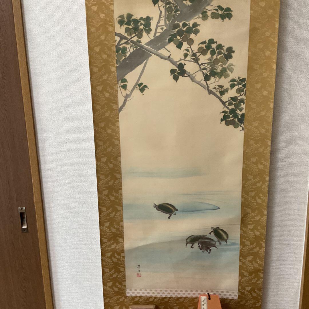 松村景文筆 複製掛軸復刻版 【青梅亀図 】 桐箱 タトウ箱付