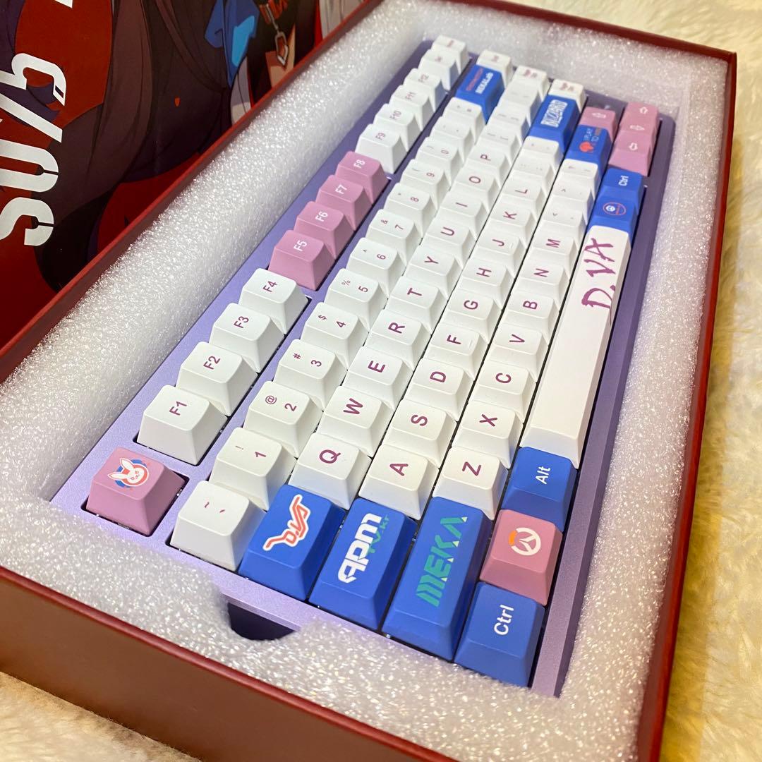 Everglide SU75 Youth 高性能ラピトリ 低遅延 状態◎