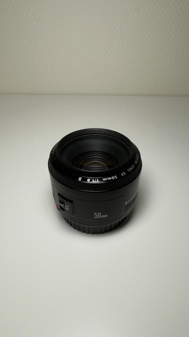 【レンズ４本セット】Canon EOS デジタル一眼レフカメラ Kiss X5