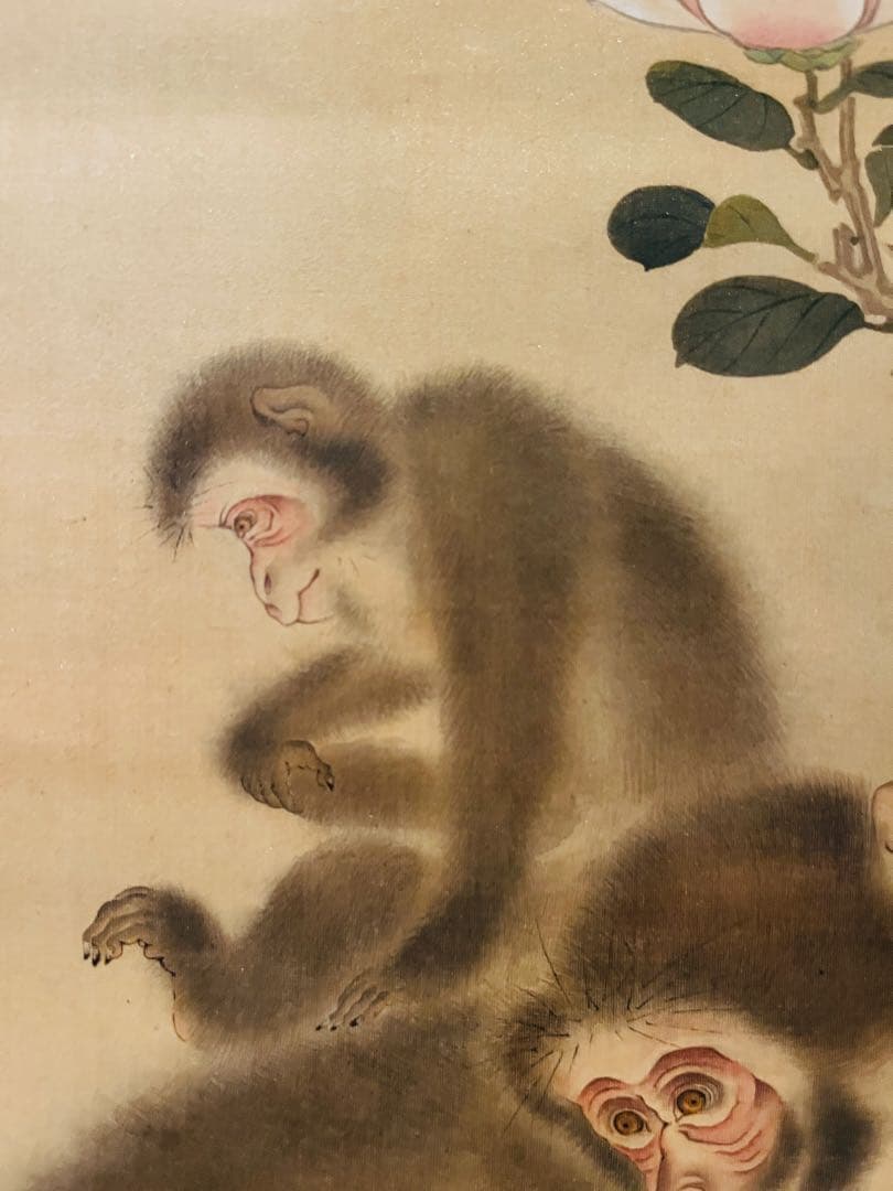 【掛軸箱付き】森狙仙 親子猿之図