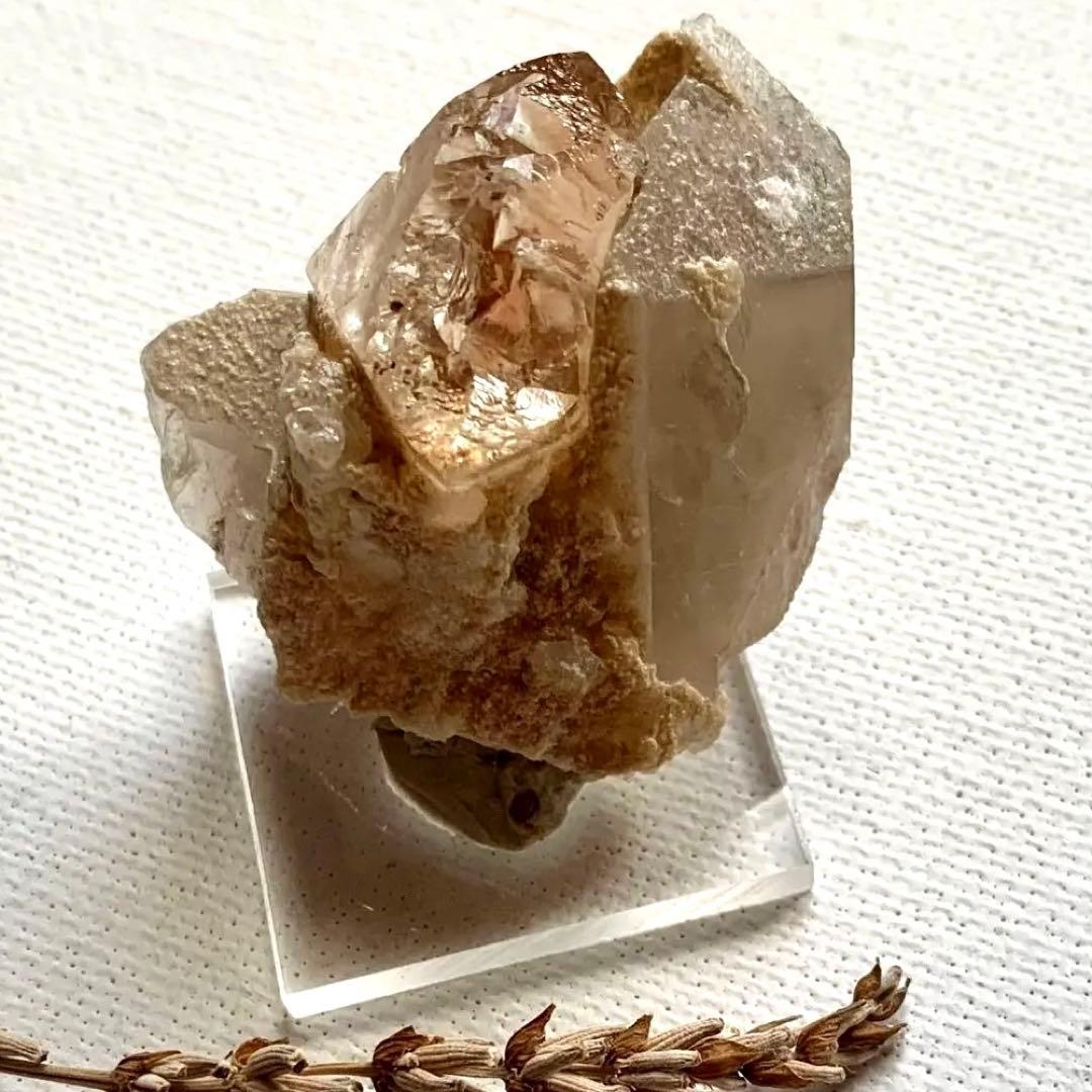 特価！ハニーカラートパーズ原石/スモーキークォーツと共生/鉱物標本