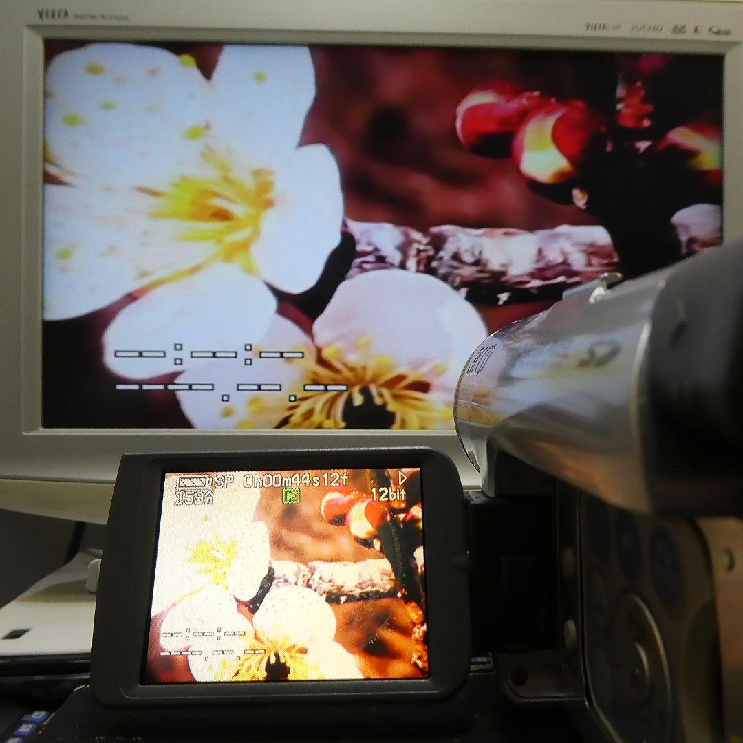 動作良好 パナソニック NV-GS120 MiniDVビデオカメラDVD化に最適