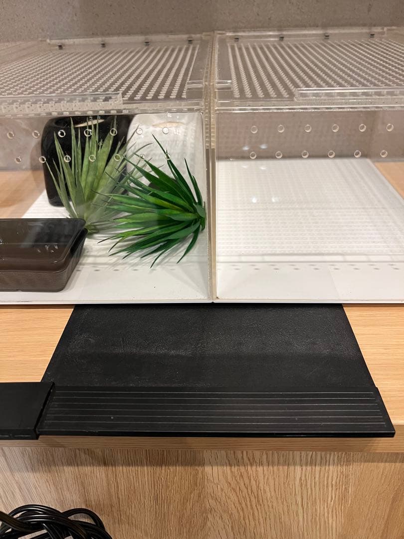 爬虫類飼育セット　2セット　ヒーター付き