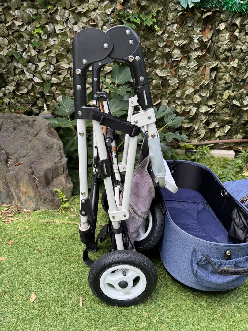 エアバギー ドーム2 Air Buggy Dome2 M