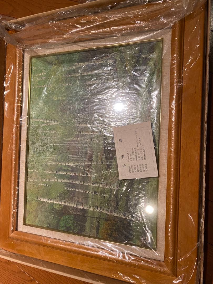 早瀬　遼　油彩　白樺林　絵画