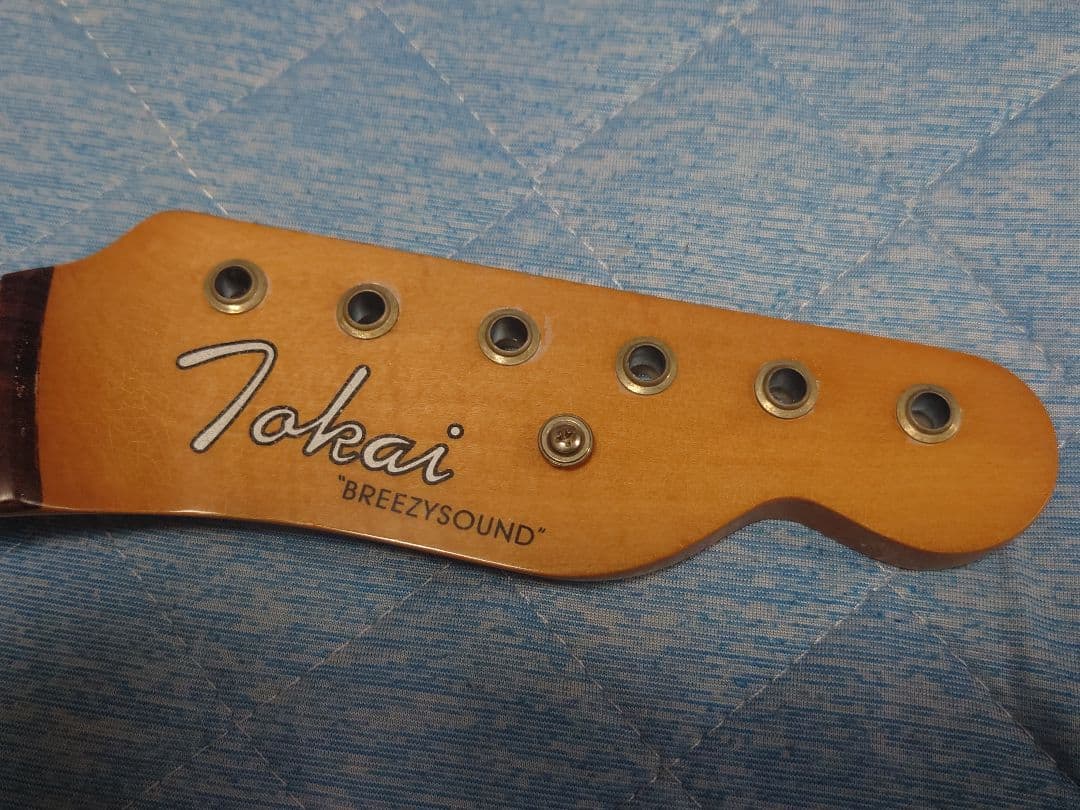 フェルナンデス FSTコンポーネントテレキャスター　オールラッカー