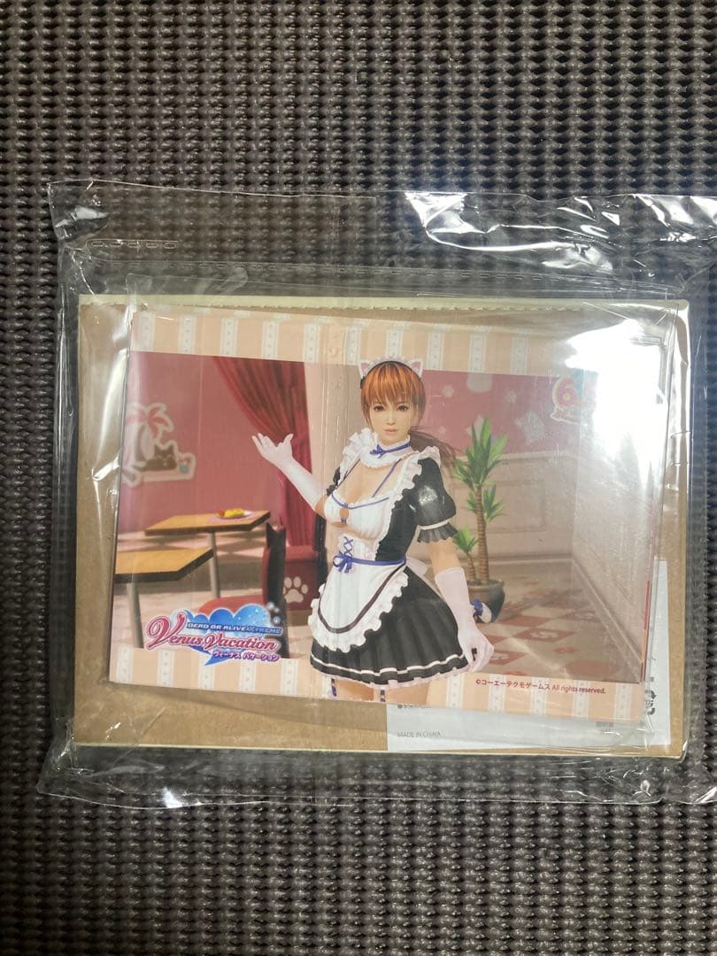 DOAXVV レザー風ブロマイドフレーム＋ヴィーナスブロマイド　限定品