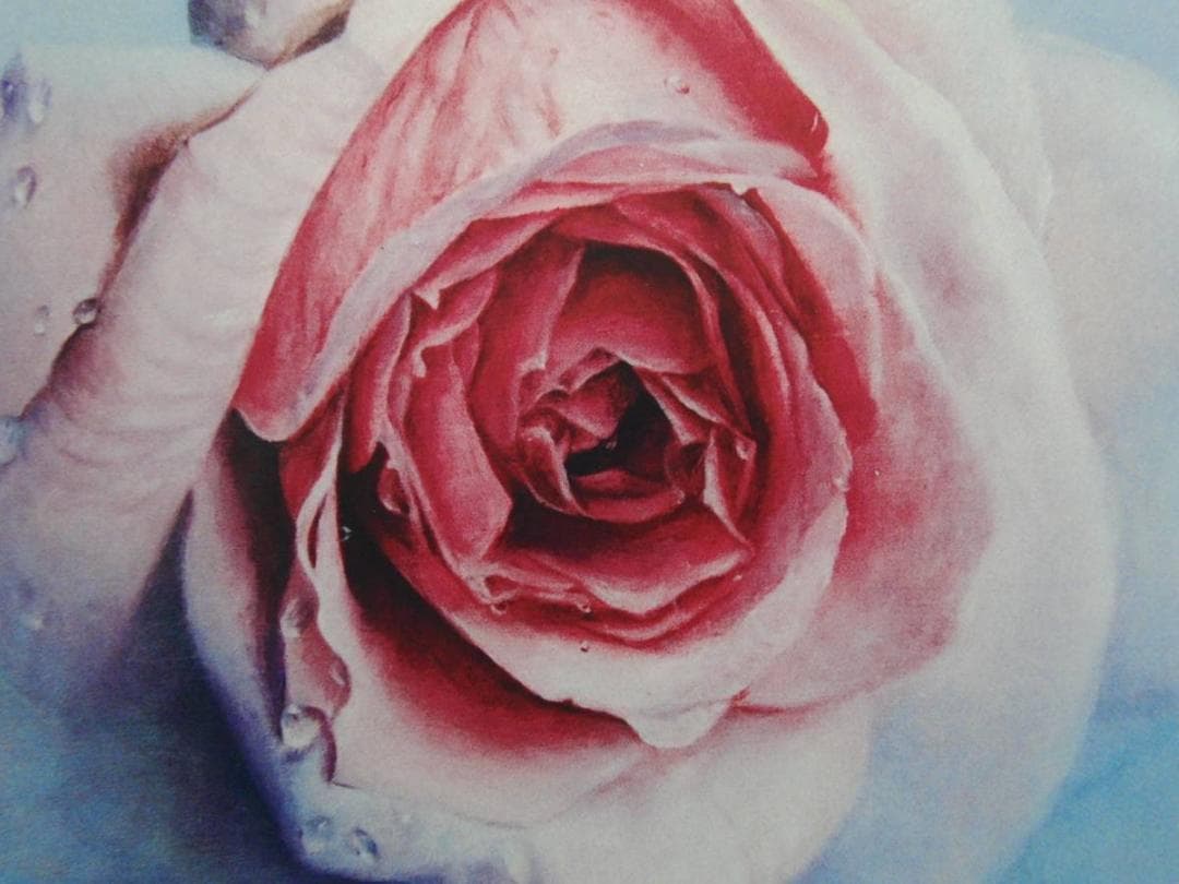 塩崎 敬子「薔薇宇宙2010-2」希少画集より、状態良好、新品高級額装付