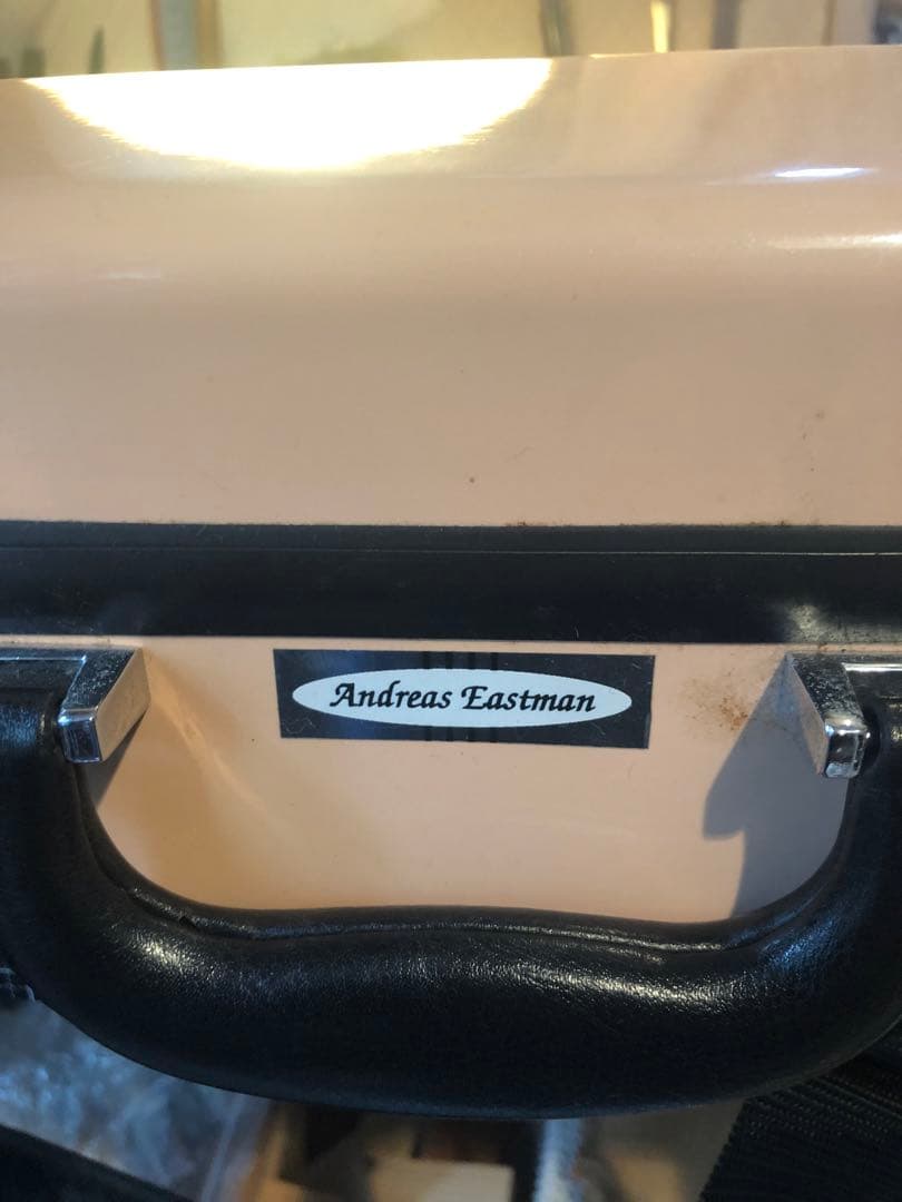 【応援値下げ中】手製バイオリン ドイツ製 4/4 2004