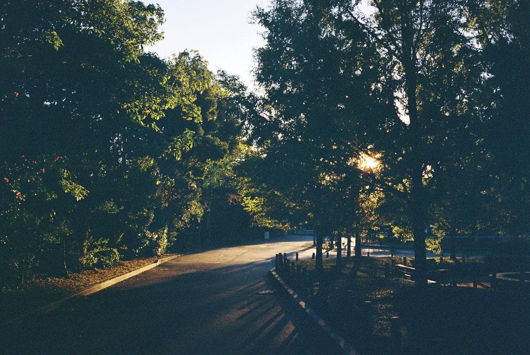 y*s様 コニカヘキサー シルバー Konica HEXAR 35mmF2 動作