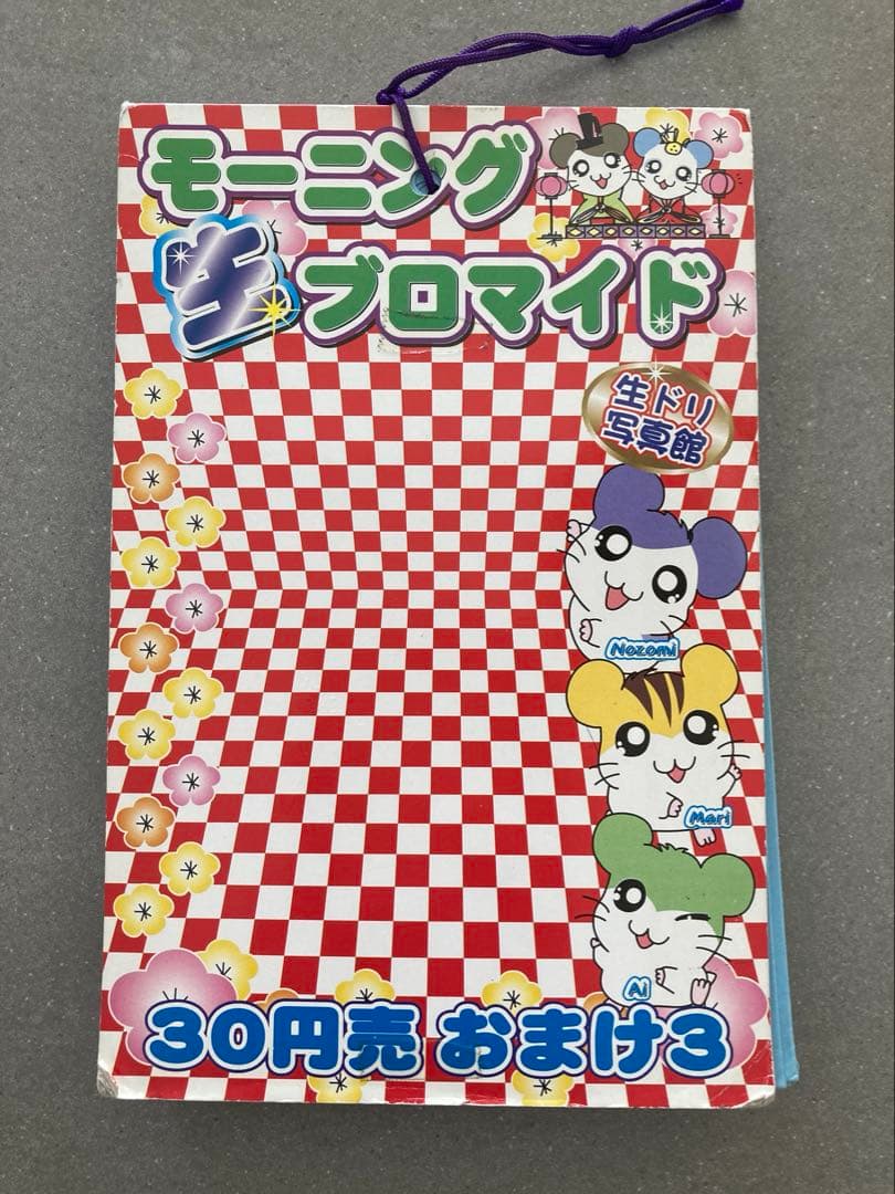激レア！希少！とっとこハム太郎　モーニング　生ブロマイド