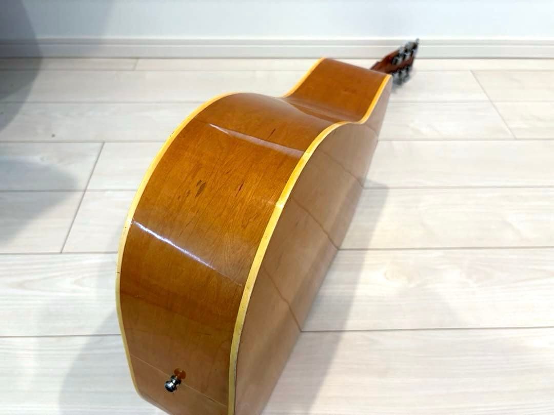 roje メイプル　ハミングバード　アコースティックギター　アコギ