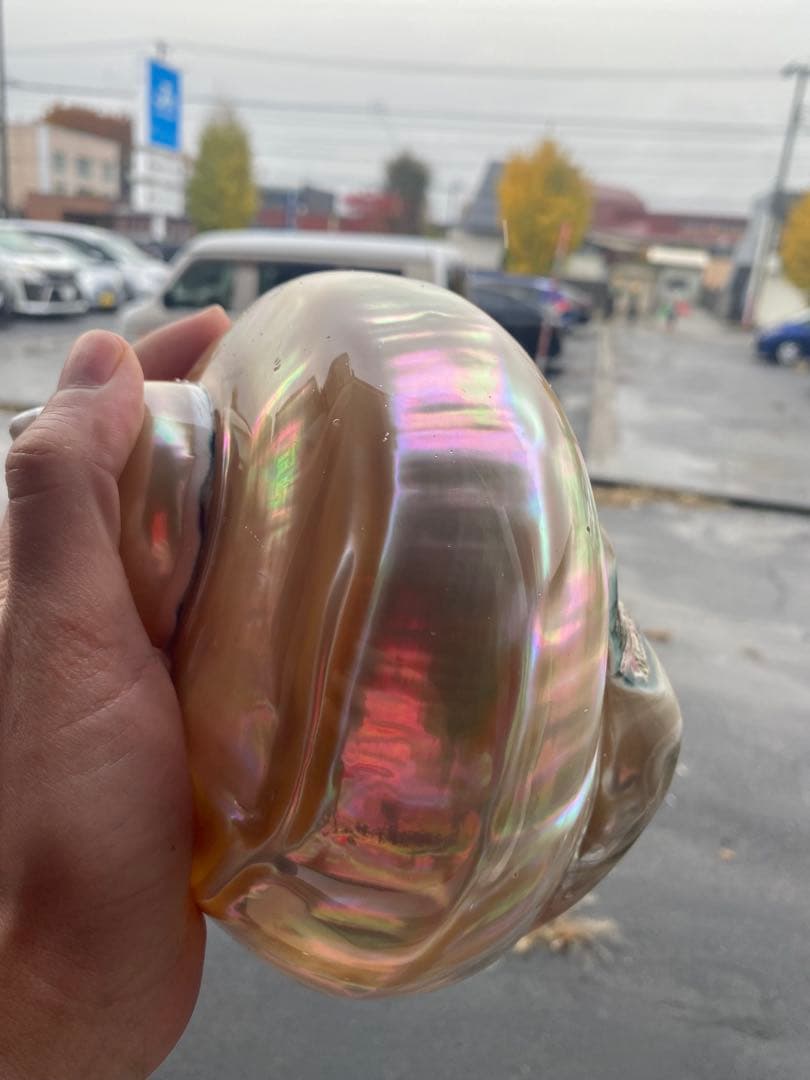 夜光貝　特大夜光貝　16x19cm 美品　置物　ピカピカ　ツルツル　色合いが綺麗