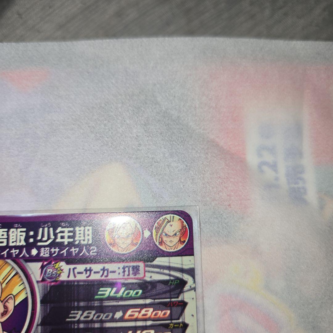 UM12-SEC3 LC孫悟飯:少年期