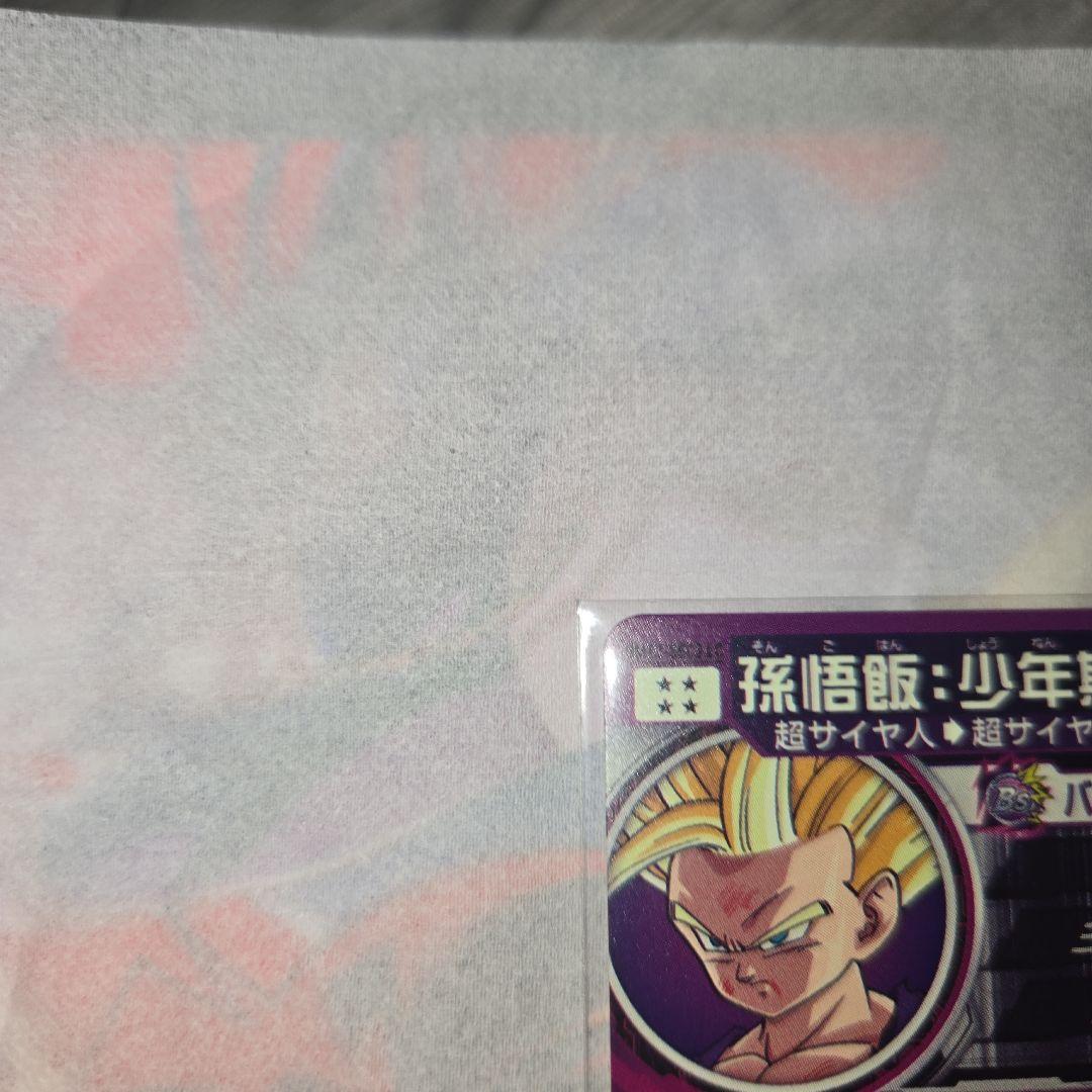 UM12-SEC3 LC孫悟飯:少年期