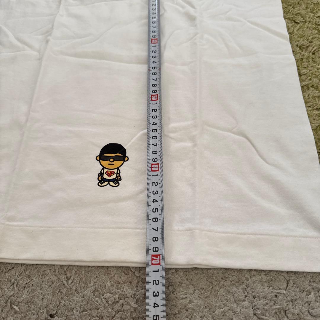 エイプ　Tシャツ　M テリヤキボーイズ　試着のみ　ape