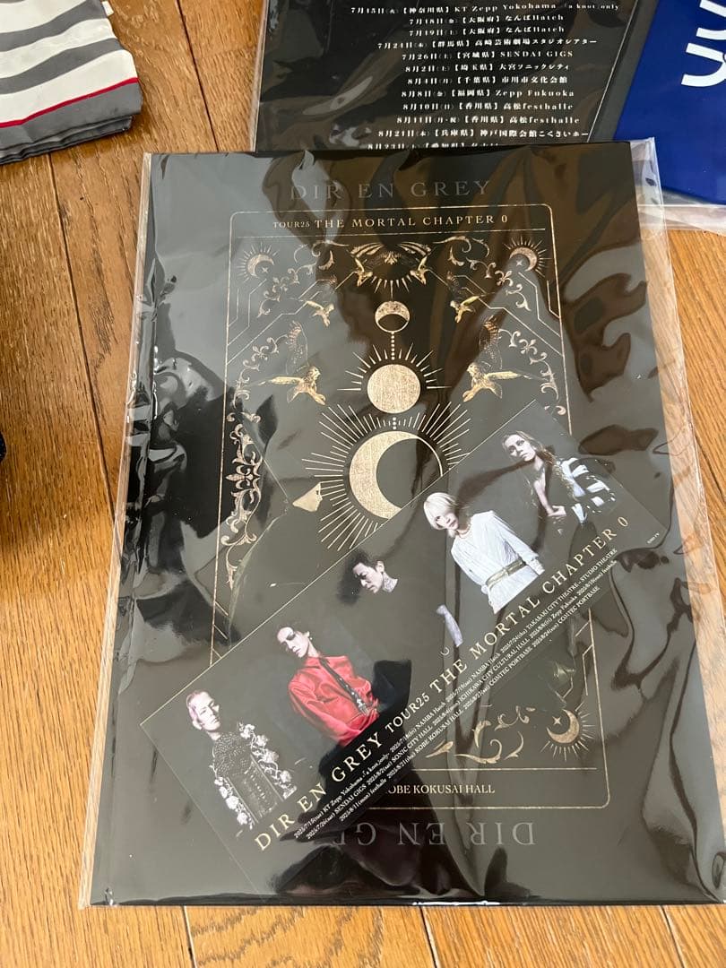 DIRENGREY TOUR25 蜿蜒 THE MORTAL CHAPTER 0