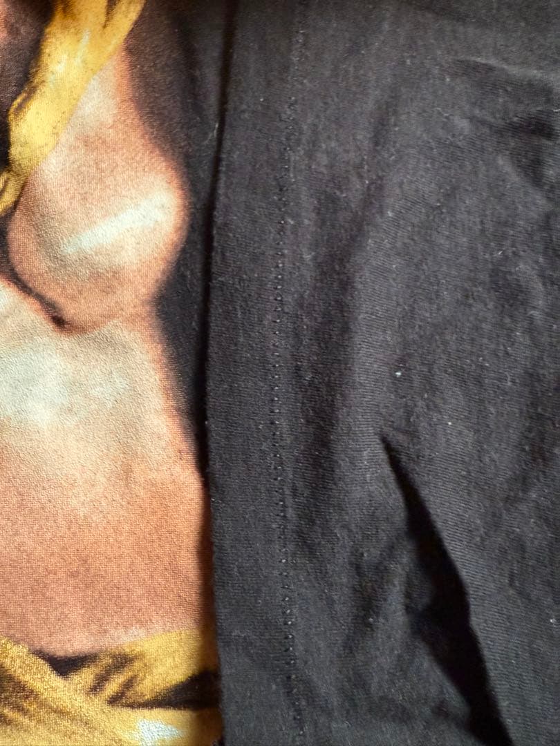 Hanes 黒色 Tシャツ Lサイズ マドンナ