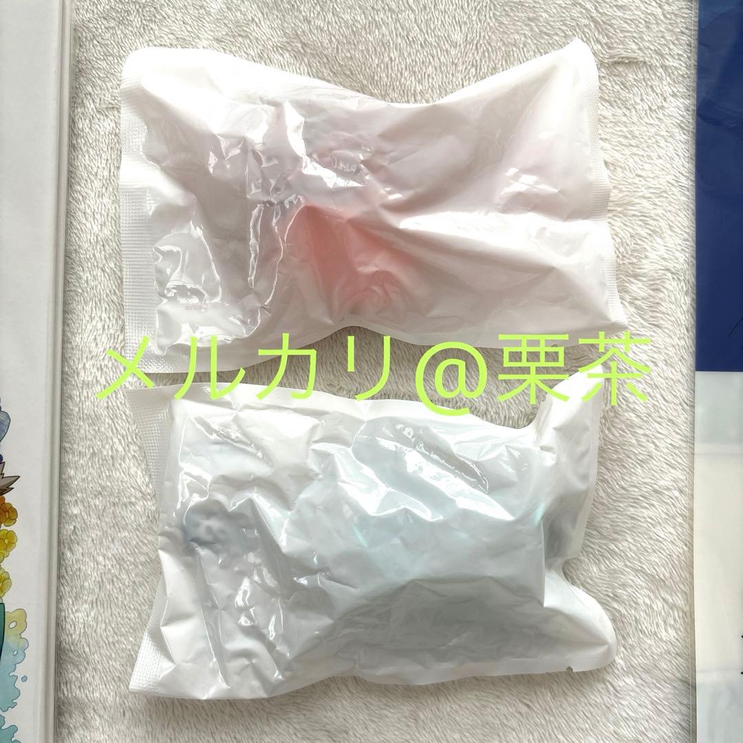 【ポケモンORAS】ポケモンセンター限定購入特典　ニューホウエンアートブック他