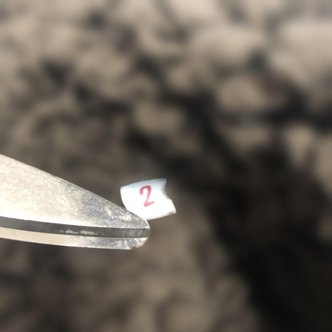 ハリウッドランチマーケットBLUE BLUE インディゴボアジャケットM