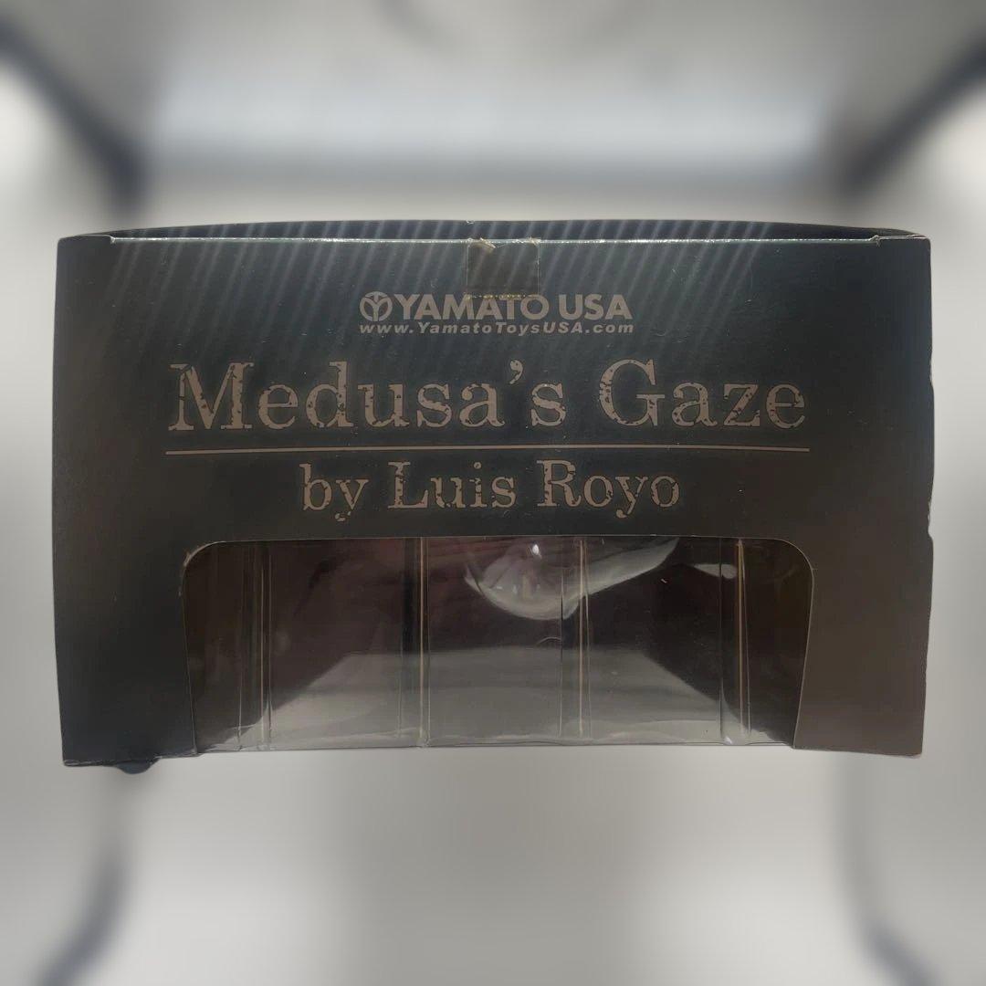 Medusa’s Gaze by Luis Royo